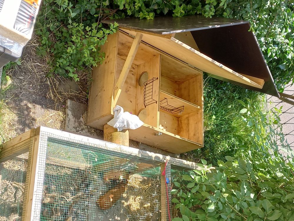 Aussenstalle Fur Meerschweinchen