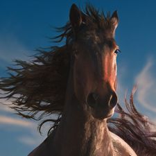 Profile image of SultanRose