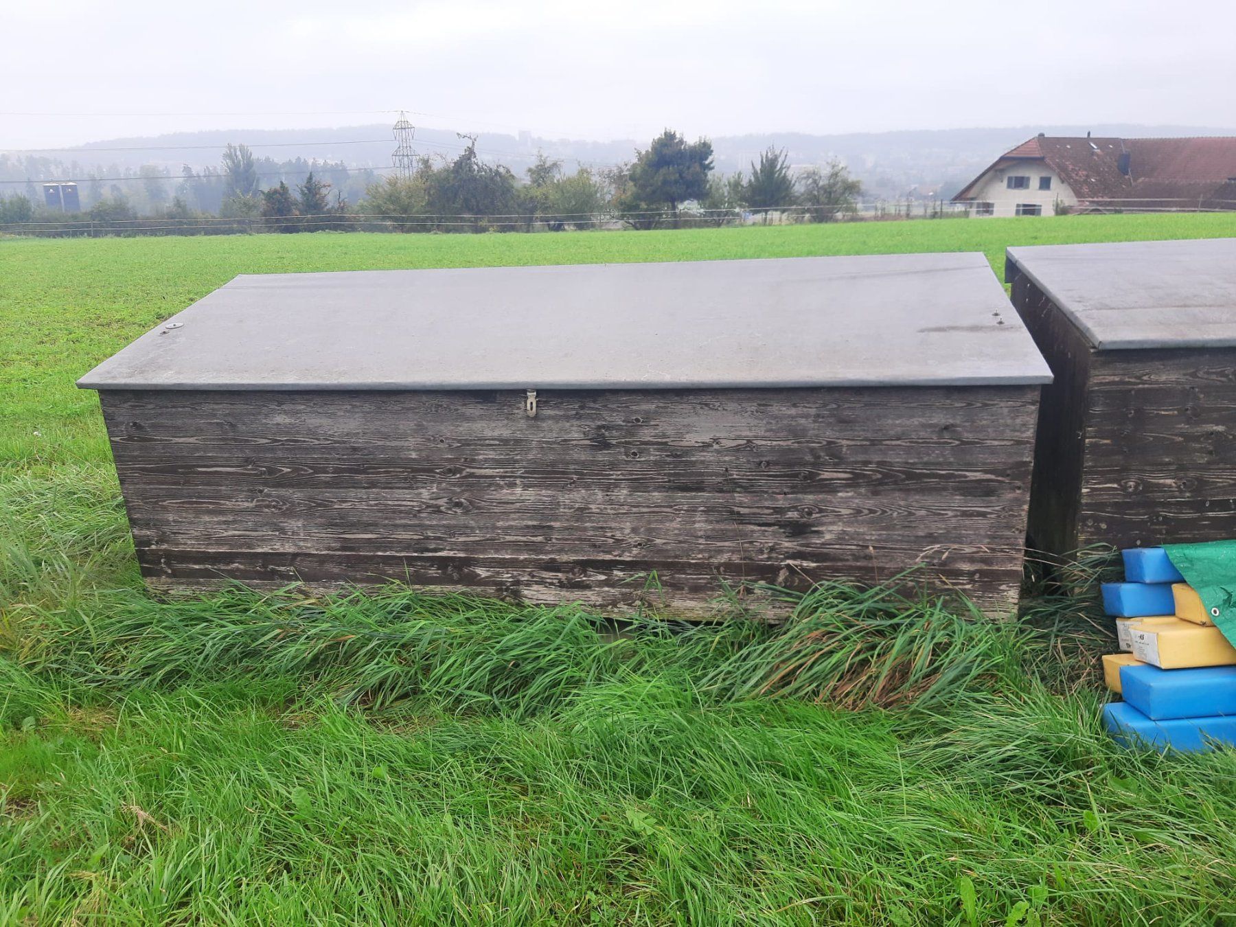 Casse di trasporto: Holzkiste, Truhe, – Usato da Rümlang venduto da Chaetsch