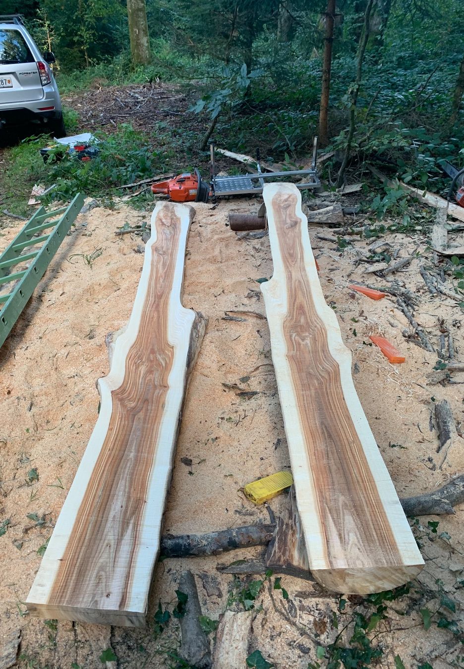 Articoli in legno: Ulmen Bretter – Nuovo (secondo la descrizione) da Lotzwil venduto da gia_bn2w 2