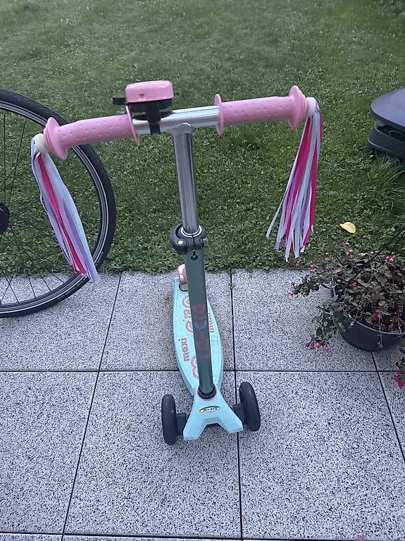 Kickboard: Micro Maxi  – Usato da Riehen venduto da IvoC02 2