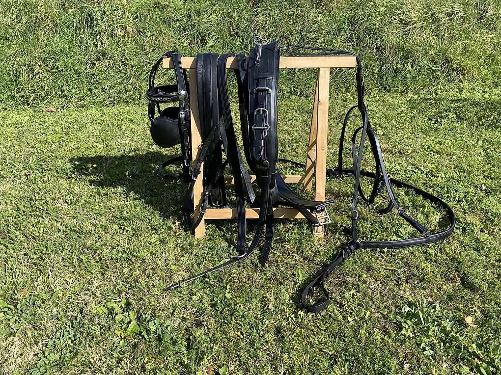 Carrozze: Kutsche mit Geschirr, gebraucht und neu – Usato da Brügg BE venduto da Nayeli02 3