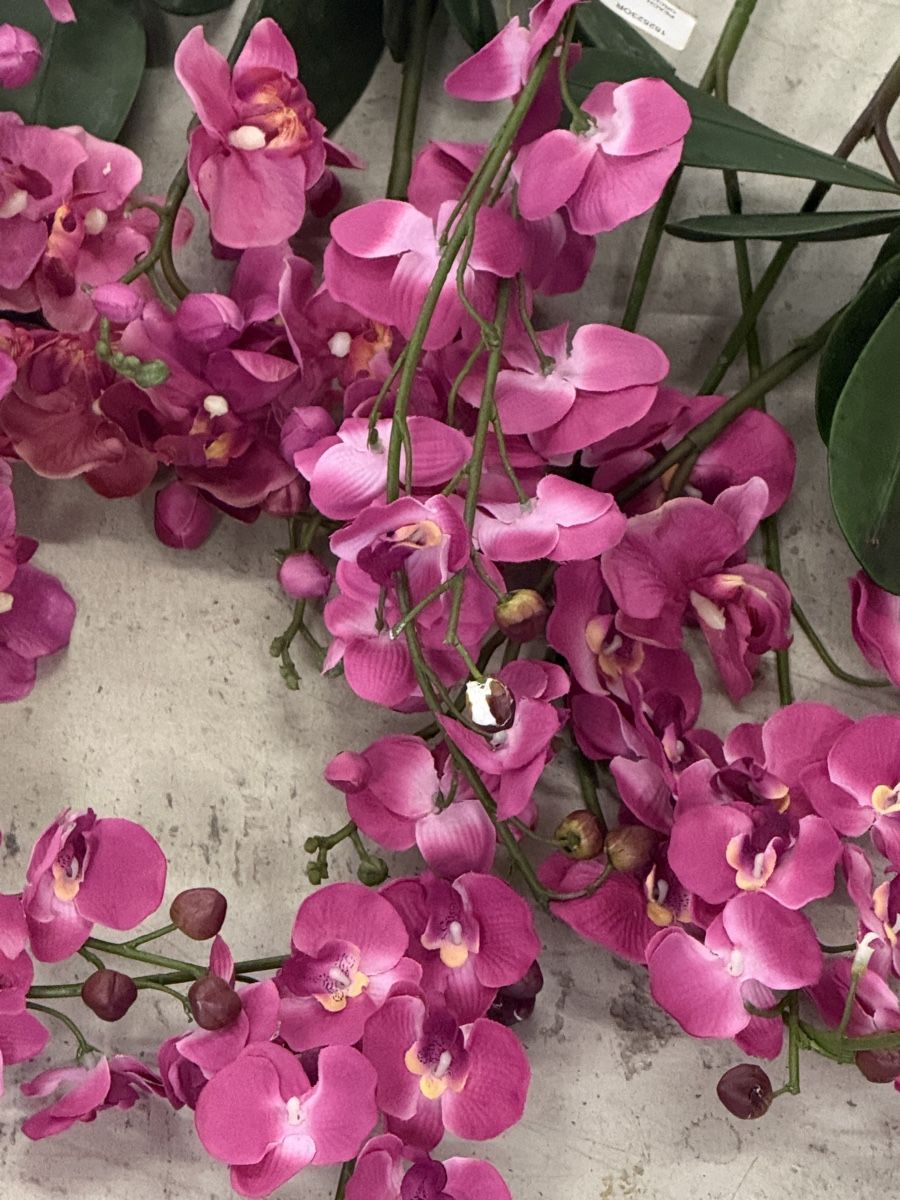 Alle Dekorationen: Künstlichen Blumen – Gebraucht aus Pfäffikon SZ von Tonimarroni99 1