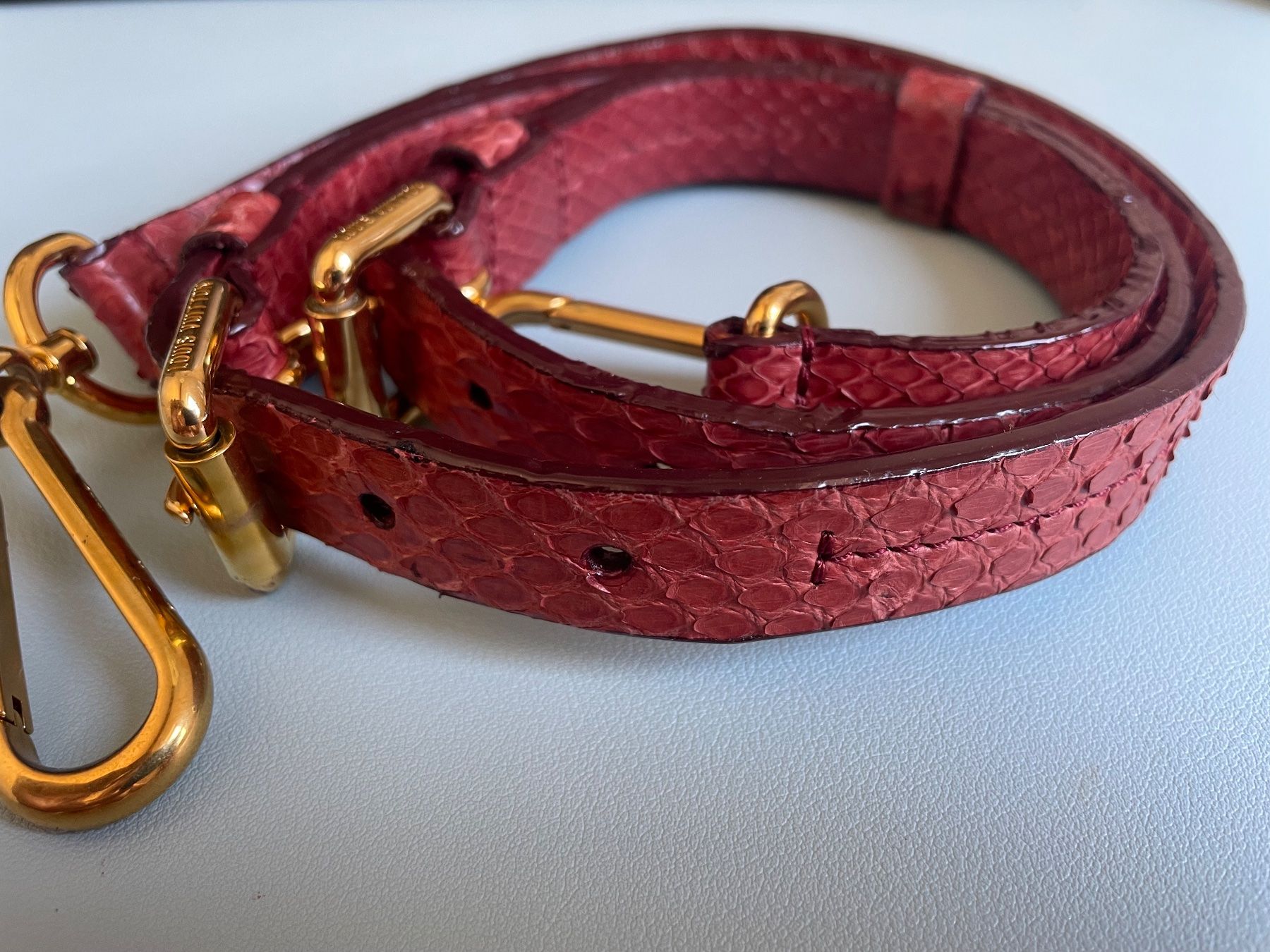 Louis Vuitton Altro in  Abbigliamento & Accessori: Louis Vuitton shoulder strap in reddish python leather – Usato da Baden venduto da ale_9jr2