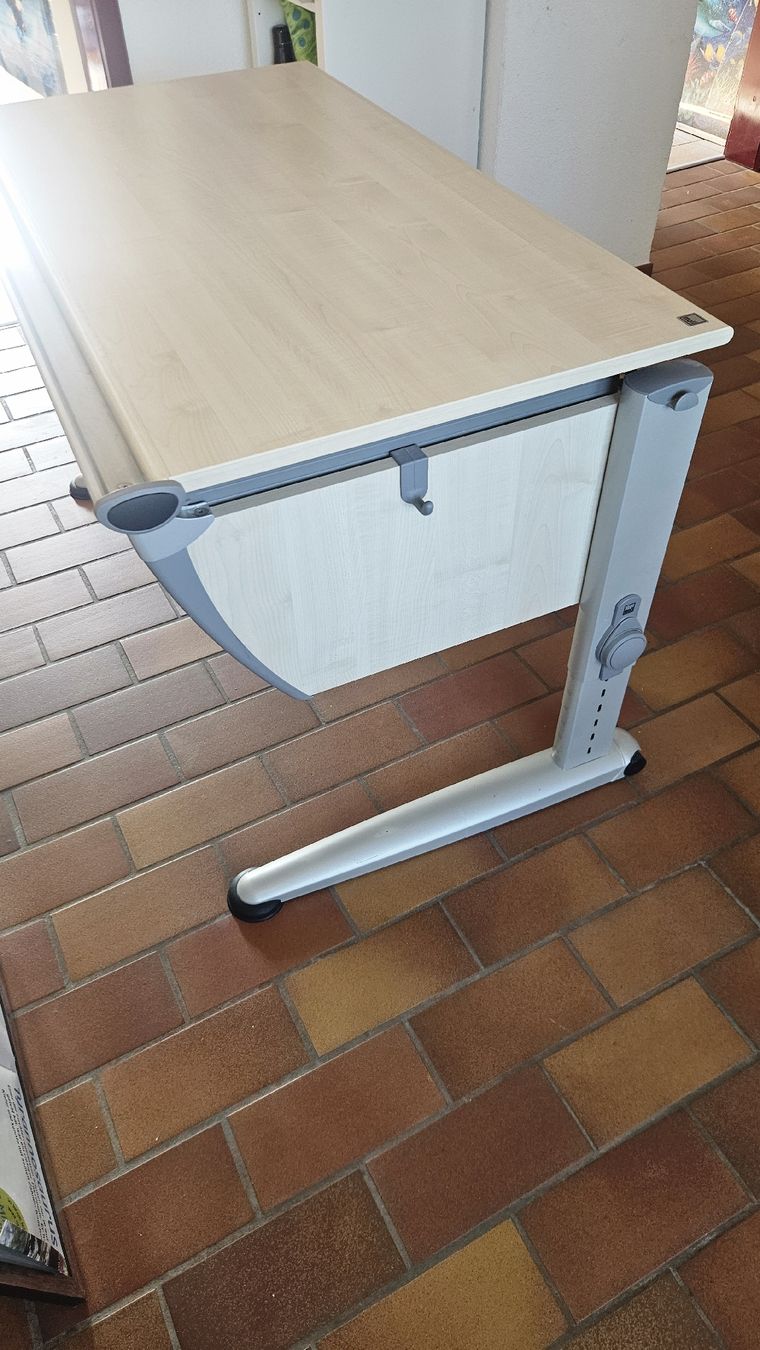 Moll Scrivanie: Schreibtisch Moll – Usato da Gelterkinden venduto da Panfloete 1