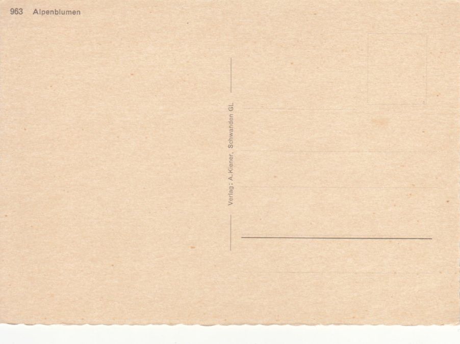 Cartoline postali: Matterhorn ca. 1960 – Usato da Bürglen TG venduto da StampGraf 1