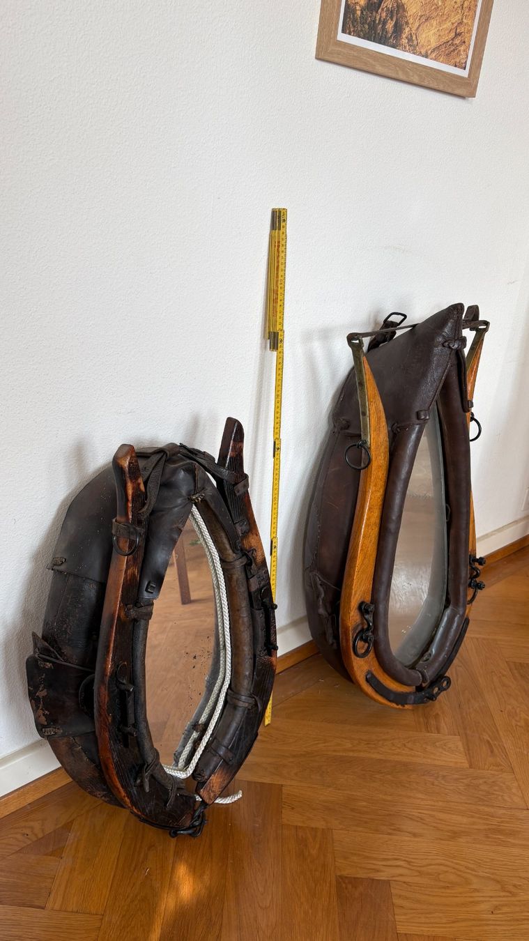 Specchi: Miroirs assemblés dans des colliers à cheveaux – Usato da Vevey venduto da dtr_q78n 2