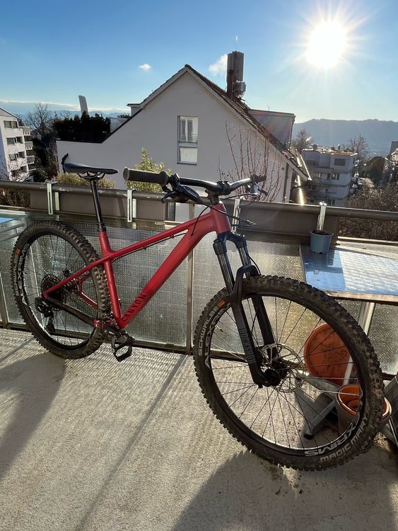 Mountainbike Canyon Stoic 3 2023 (D'occasion) à Zürich pour CHF 830 ...