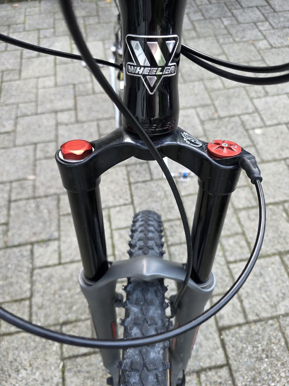 Wheeler Biciclette: Mountainbike Wheeler – Usato da Baar venduto da zagi09 6