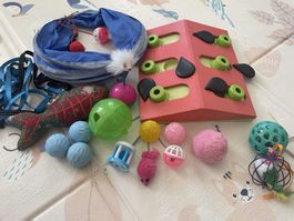 Accessoires & support mural pour chat