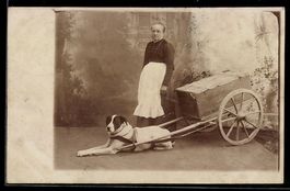 Foto-AK Frau mit Schürze neben einem Hu