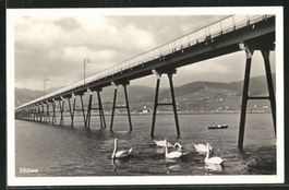 Sihlsee, Brücke bei Willerzell, gelaufen 1938