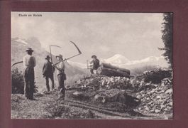 Etude en VALAIS - Faucheurs