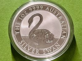 🦢1 Oz. Silber Schwan *2021*, Top Zustand!
