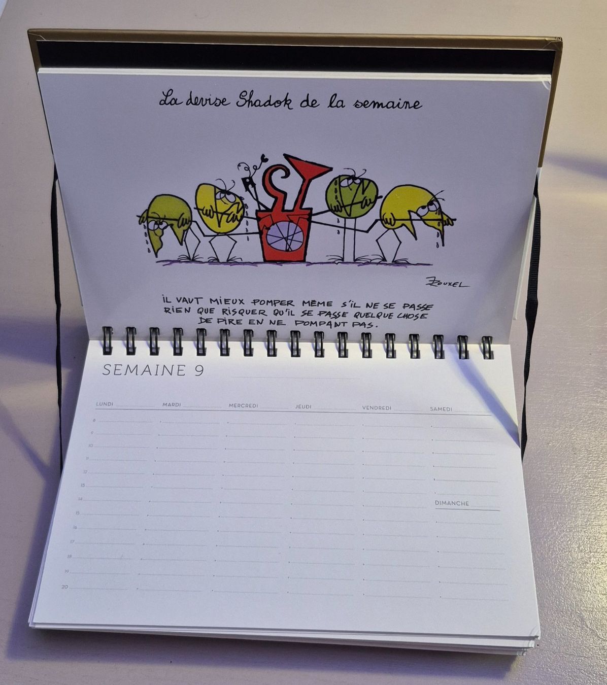 Calendari: Calendrier Les Shadoks - 52 Semaines - Rouxel – Usato da Grand-Lancy venduto da loi_599y 4