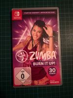 Nintentdo Switch Zumba Burn it up