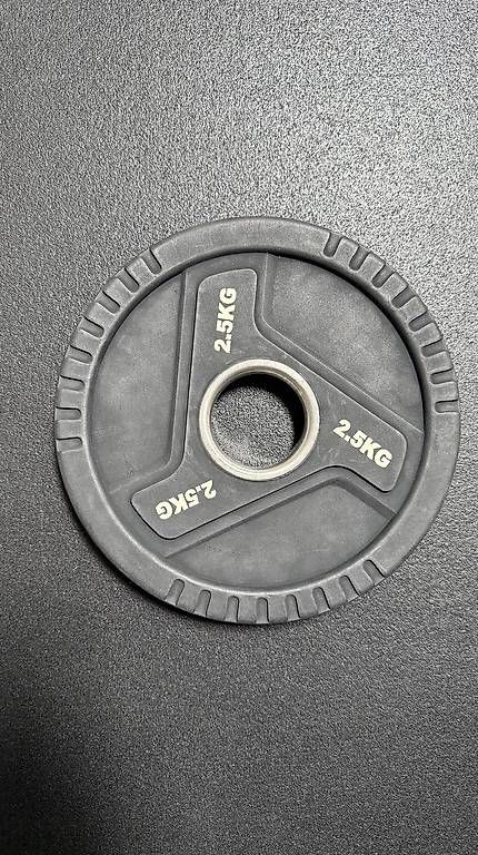 Manubri & Pesi: TPU 50mm Hantelscheiben 2.5 kg – Usato da Basel venduto da bos_y6pm