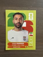 Panini IRN 12