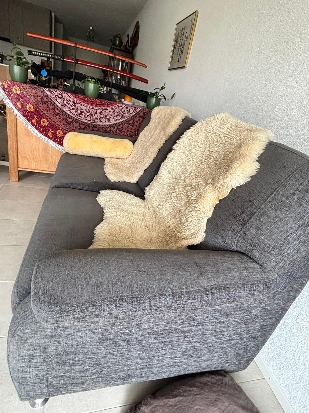 Divani: Sofa – Usato da Safenwil venduto da atr_kz78 1