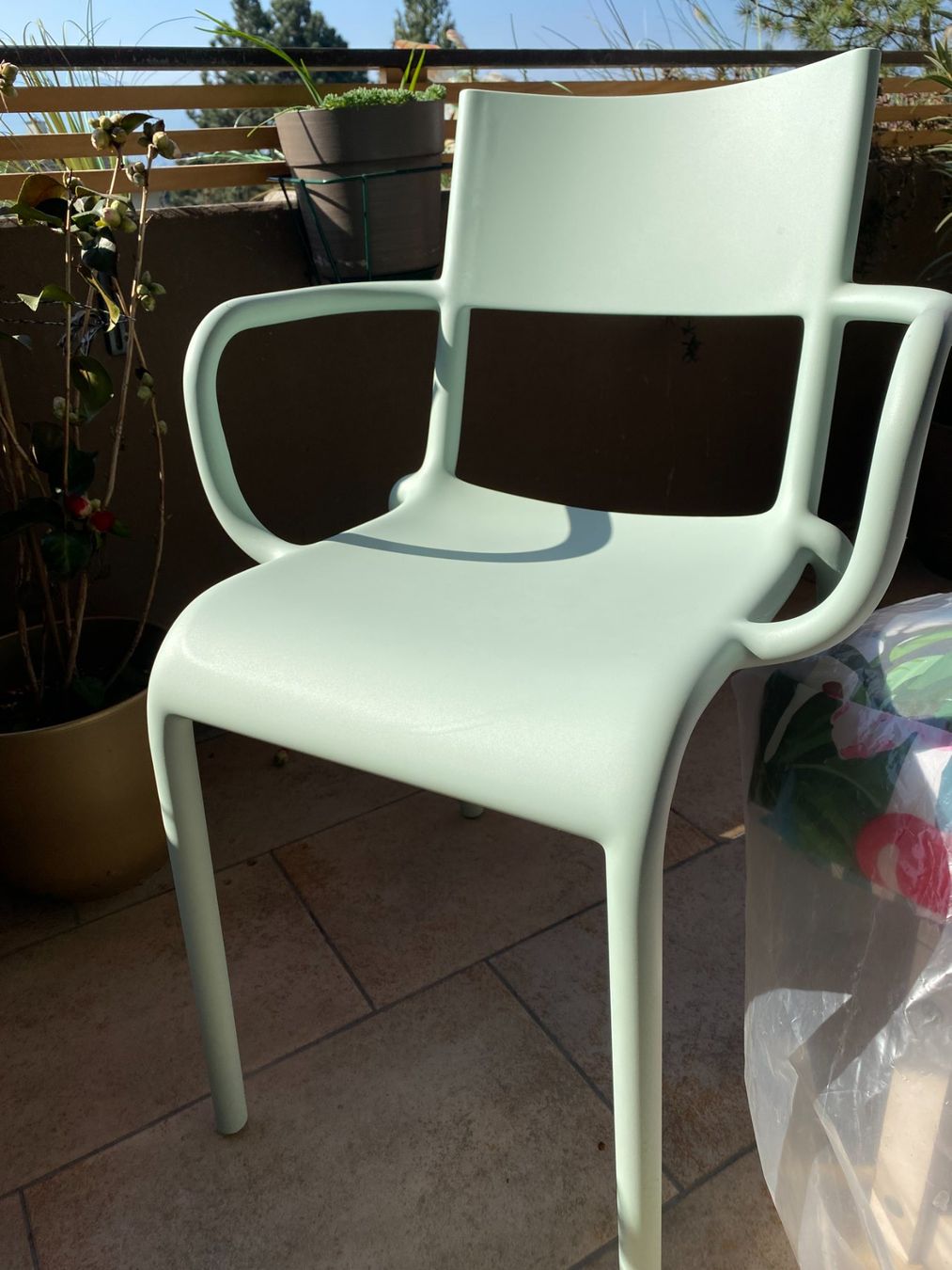 Kartell Sedie: Kartell Generic A Stuhl Salbeigrün – Usato da Stäfa venduto da Clandestino04