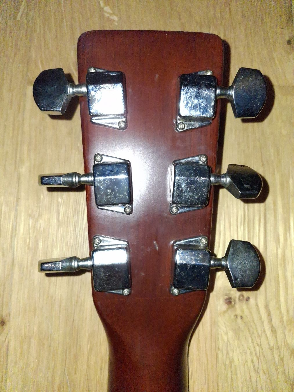Strumenti musicali: Tokai Cat's Eyes CE-200D – Usato da Altikon venduto da willtell 4
