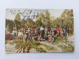 Ansichtskarte Hop Pickers, Washington, mit Stempel
