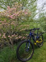 Haibike Sduro Fullseven LT 7.0, Rahmengrösse L zu verkaufen