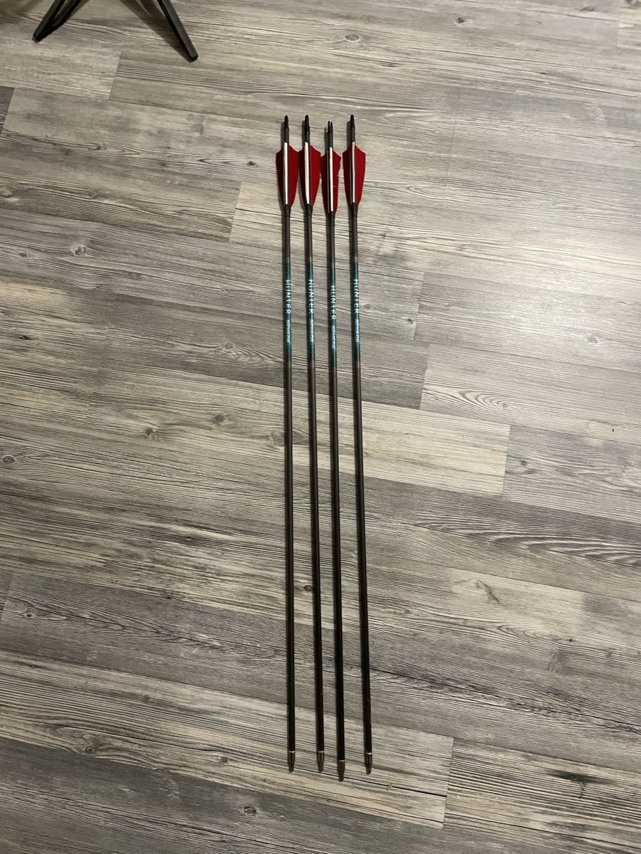 Hoyt Tiro con l'arco: Zwei Compound Bögen mit Zubehör – Usato da Aarburg venduto da tob_xh5y 6