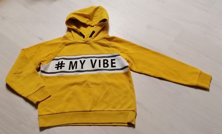 Pull sweat à capuche, haut, pull, sweatshirt