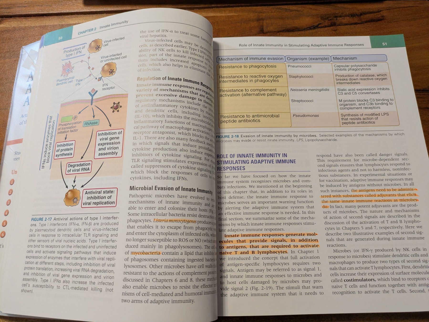 Libri: Basic Immunology, Abbas et al., 5. Auflage – Usato da Koppigen venduto da san_k8ny 2