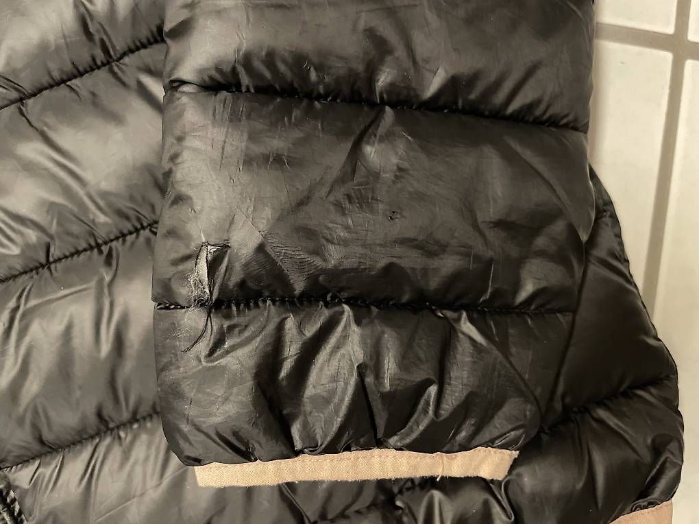 Jacken & Mäntel: Steppjacke Champion, Grösse 174/179 – Gebraucht aus Möriken AG von nipamijule 2