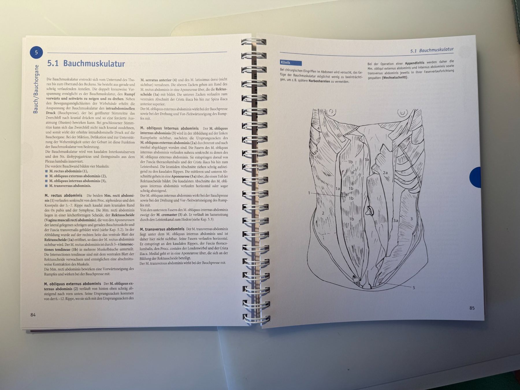 Libri: Lehrbuch Anatomie von Sobotta als Malbuch mit Lerntexten – Usato da Luzern venduto da PALAJ 2