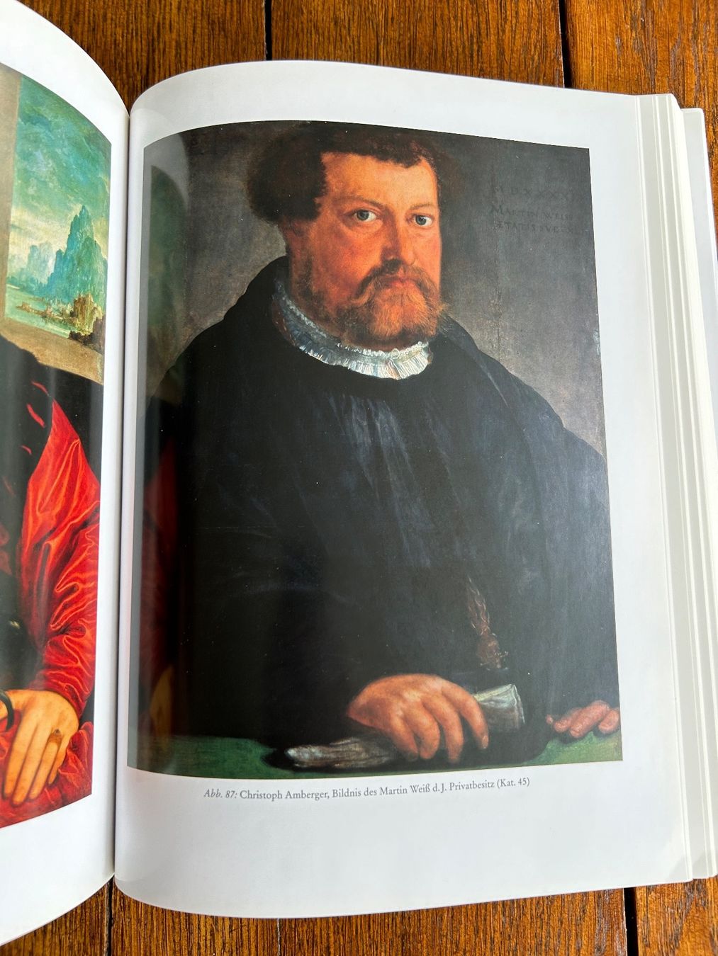 Libri: Christoph Amberger - Bildnismaler zu Augsburg – Usato da Basel venduto da Peter_schlemihl 4