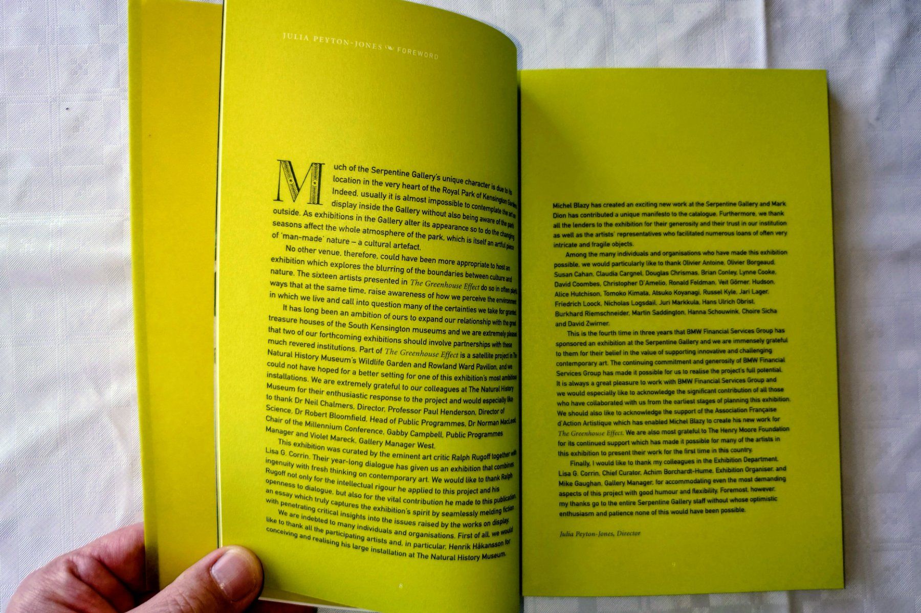 Livres: The Greenhouse Effect - Katalog Ralph Rugoff. Rare EA 2000 – D'occasion à Zürich par Rst7 3