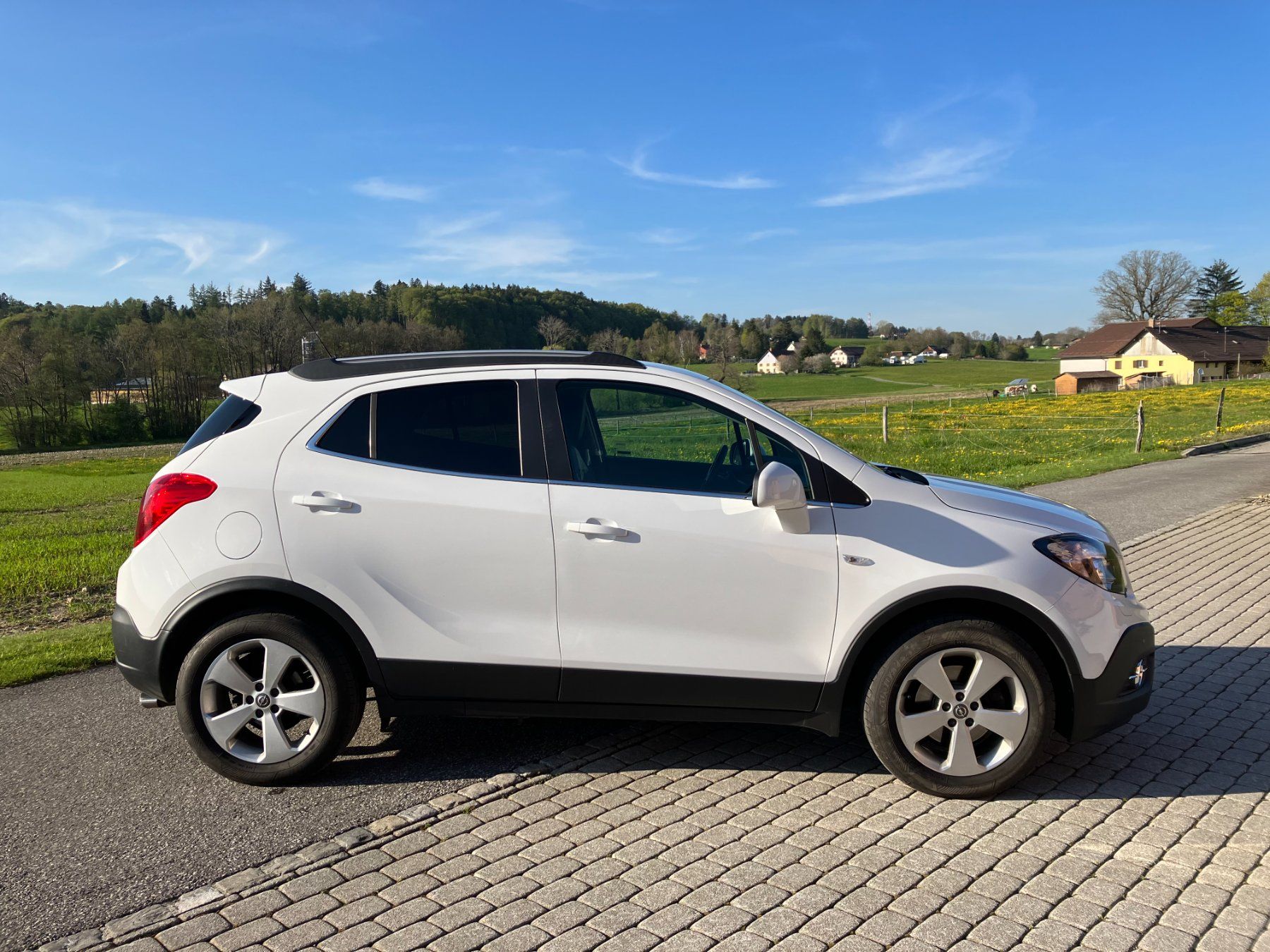 Automobili: OPEL Mokka 1.4i T Cosmo 4WD – Usato da Gryon venduto da mel_pzw6 4