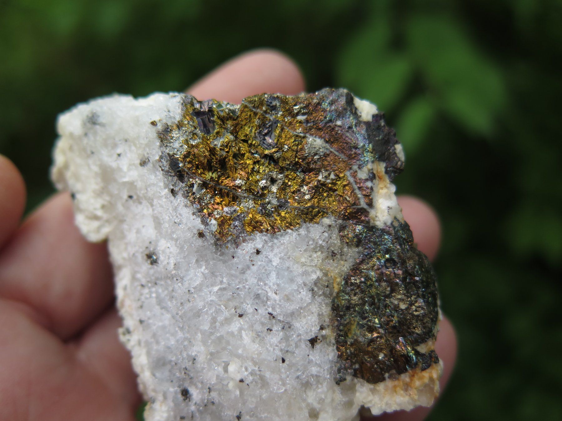Minéraux & Lithothérapie: Quarz Stufe mit Pyrit und Dolomit – D'occasion à Schaffhausen par Yamakana51L8736OQ8 5
