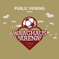 4 Tickets Public Viewing Schweiz - Argentinien, Waaghaus SG