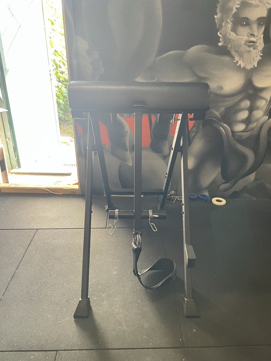 Hometrainer: Westside Barbell Reverse Hyper – Usato da Dällikon venduto da balu814 3
