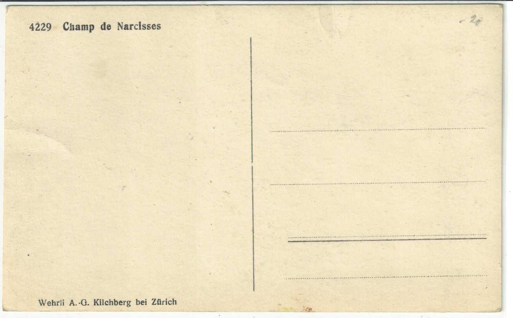 Cartes postales: Champ de Narcisses – D'occasion à Ettingen par Kartenplanet 1