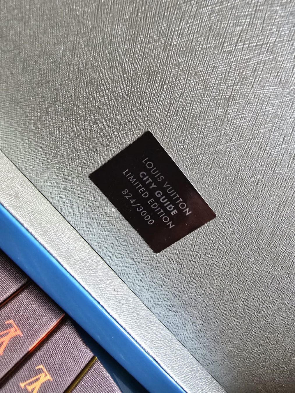 Autres décorations & accessoires: LOUIS VUITTON – D'occasion à LAMONE par man_fdm5 3