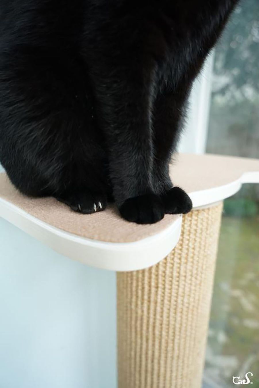 Kletterausrüstungen: CatS Design Katzen Kletterwand Set – Neu und originalverpackt aus Mönchengladbach von Zoopplier 6