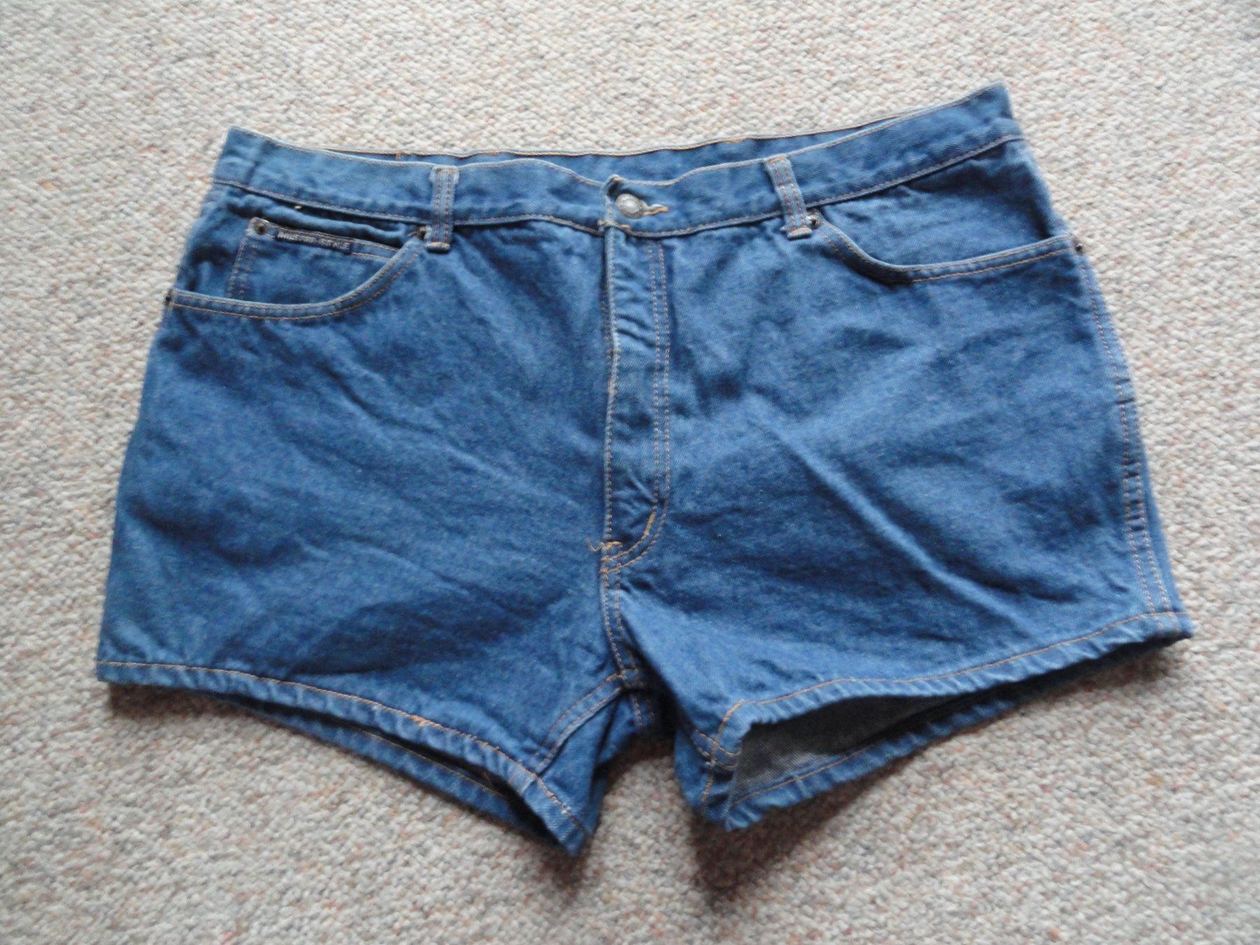 Pantaloni: Hot Pant Master Style Grösse 50 neu – Nuovo (secondo la descrizione) da Ins venduto da Baj
