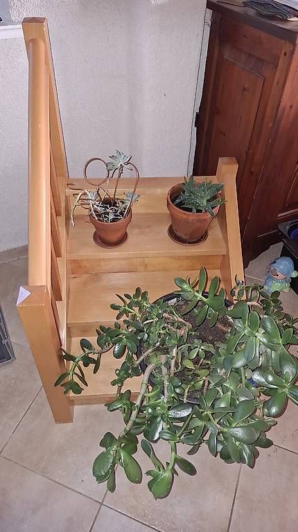 Articoli in legno: Meuble décoratifs  – Usato da Essertes venduto da ast_mk5t 3