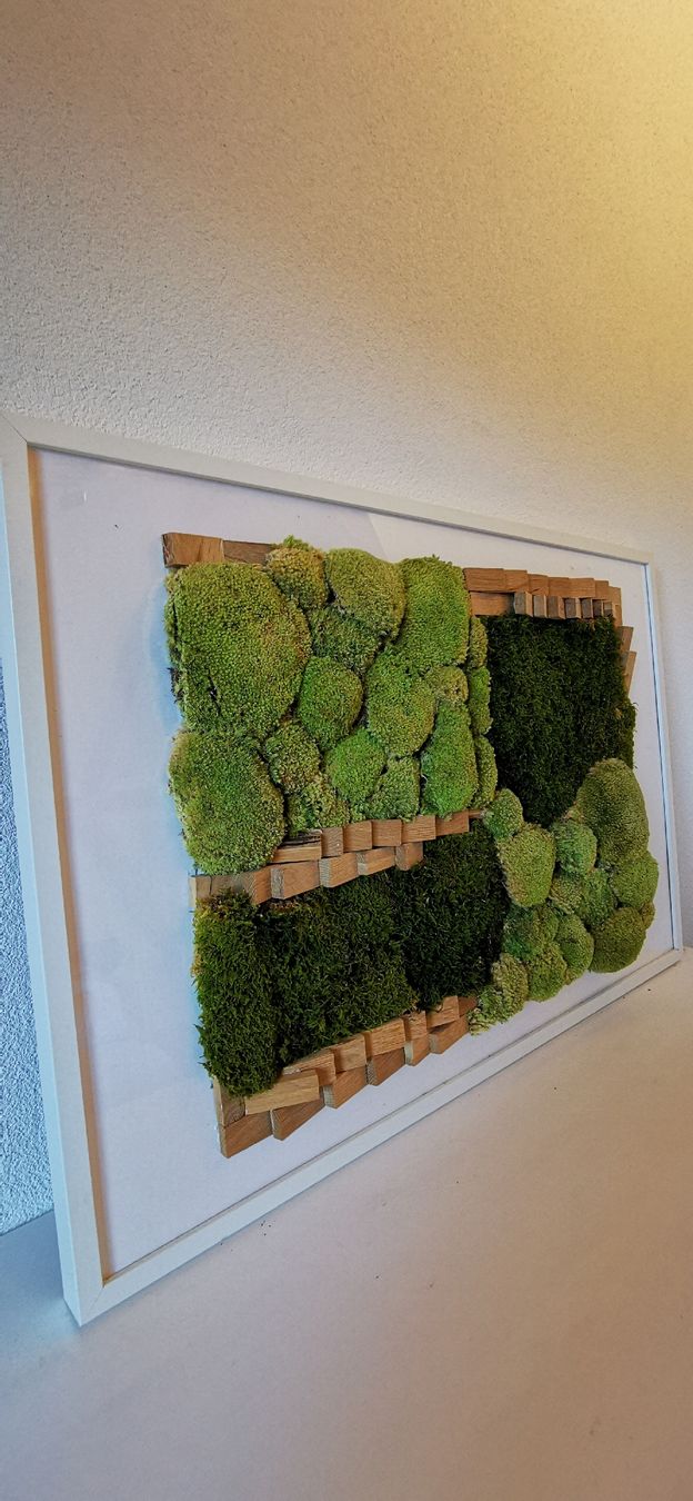 Tutte le decorazioni: Moosbild handgemachte 94 x 63 cm – Usato da Wuppenau venduto da Gemini121021 1