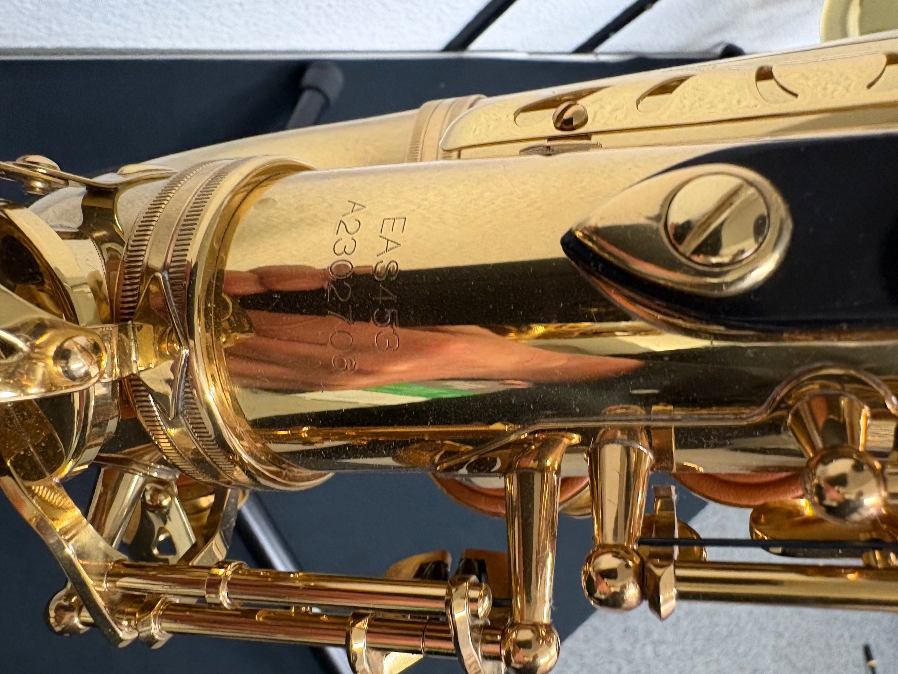 Strumenti musicali: Alto Saxophon Eastman EAS453 – Usato da Bern venduto da Daretobereal 2