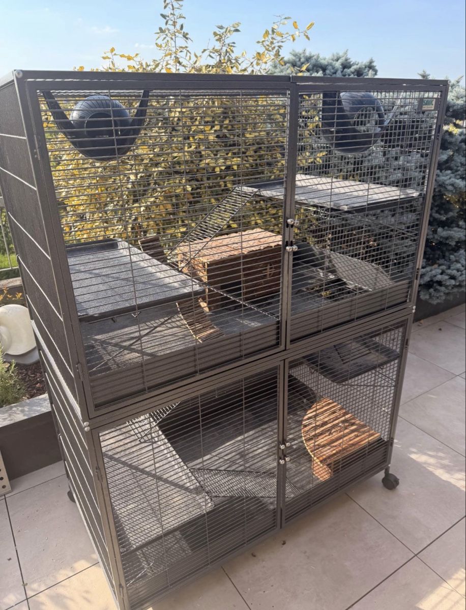 Cages, transport & sécurité: Rattenkäfig Savic – D'occasion à Oberwil BL par ndi_sy2n 1