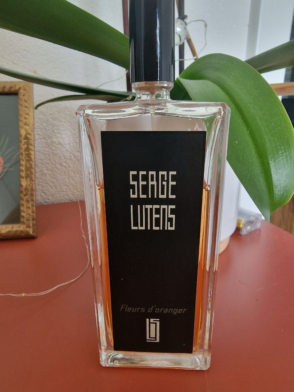 Serge Lutens Parfum & Eau de Toilette: Serge Lutens Fleur d'oranger parfum – Gebraucht aus Morens FR von Vanilla_gurl