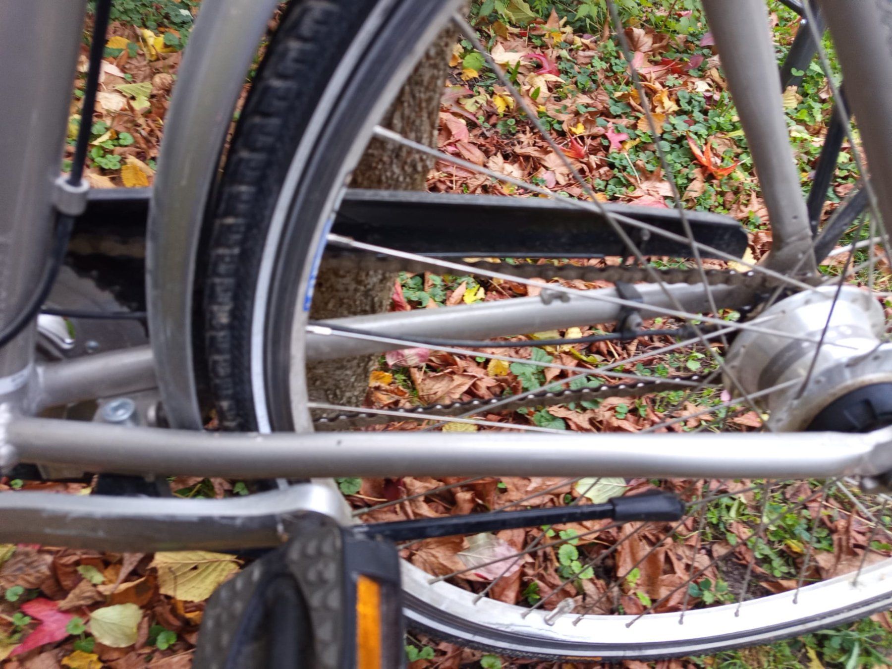 Crosswave Biciclette: Crosswave Damenrad – Usato da Büren an der Aare venduto da jaysi7 3