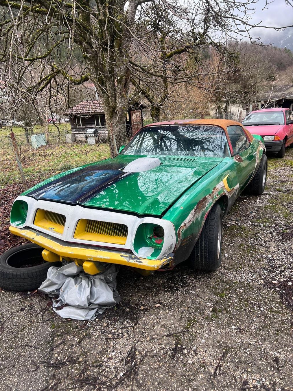 Pontiac Automobili: Pontiac Firebird TransAm 455 1974 – Usato da Savagnier venduto da Botteron_Recycling