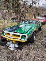 Pontiac Firebird TransAm 455 1974